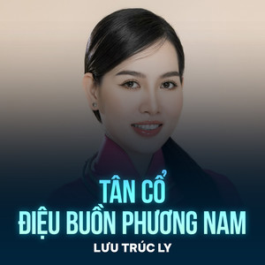 Tân Cổ Điệu Buồn Phương Nam