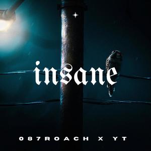 Insane (feat. YT900) [Explicit]