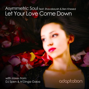 Let Your Love Come Down (Original Mix)