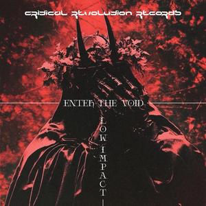 Enter The Void