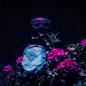 AUCUNE REPONSE (Explicit)