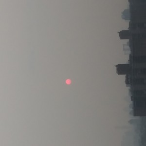 The Coming