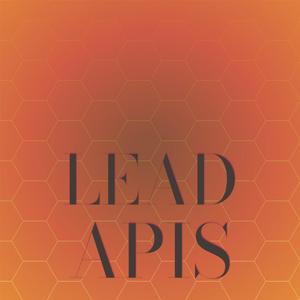 Lead Apis