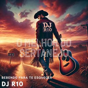 Bebendo para te esquecer