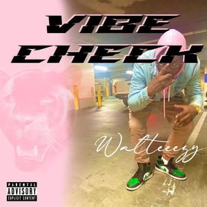 Vibe Check (Explicit)