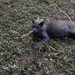 i let you flip your hair in my face