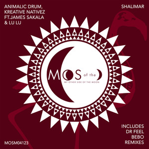 Shalimar (Bebo Extended Remix)