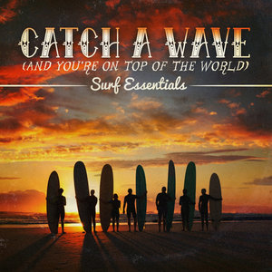 Catch A Wave (And You're On Top Of The World) - Surf Essentials