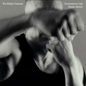 Brontosaurus law (Remix)