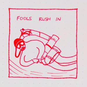 fools rush in