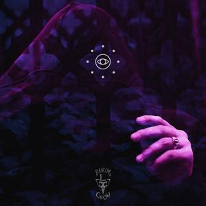 Witchcraft (feat. Dancing Crow) (Remix)