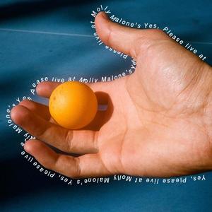 Venice (Live At Molly Malone's)