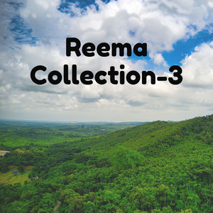 Reema Collection-3