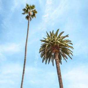 Blue Sky(feat. Paisa Rodríguez & Grecko96)