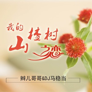 我的山楂树之恋