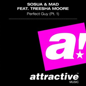 Perfect Guy (Original Mix)