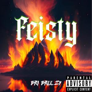 BRI BREEZY - Feisty (Explicit)