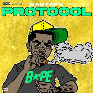 Protocol (Explicit)