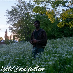 Wild Soul Fallen (Explicit)