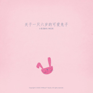 关于一只六岁的可爱兔子