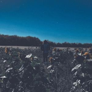 someone special (Explicit)