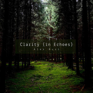 Clarity (in Echoes)