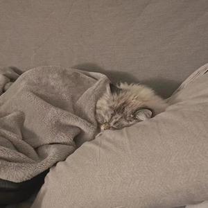 21 Savage / Ugly Z-UGLY SONG (Demo|CJONTHEBEAT remix)