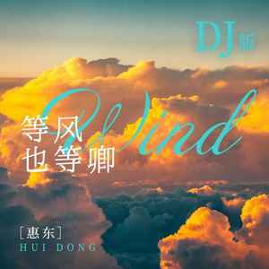 等风也等卿 (DJ版)