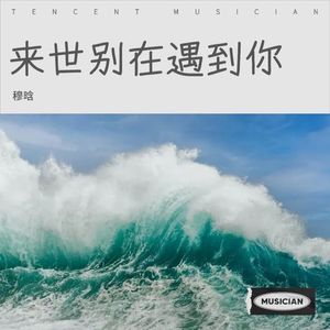 来世别在遇到你