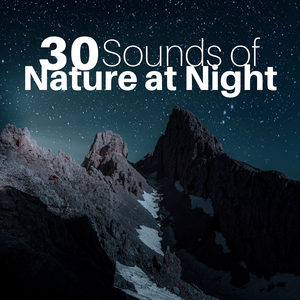 30 Sounds of Nature at Night