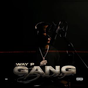 Gang baby (Explicit)