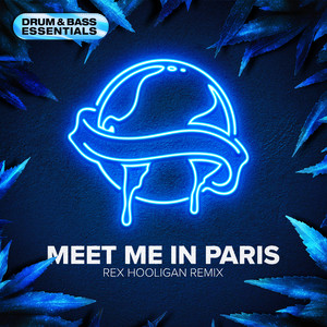 Meet Me In Paris (Rex Hooligan Remix)