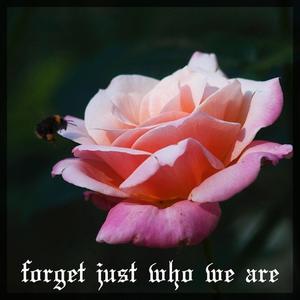 Forget Just Who We Are