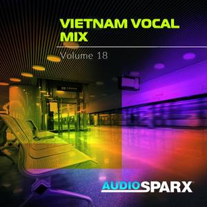 Vietnam Vocal Mix Volume 18