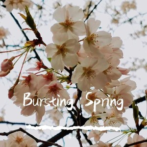Bursting Spring