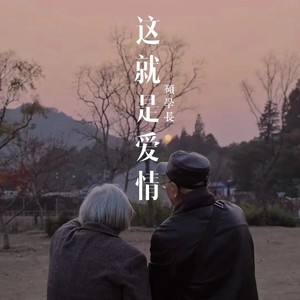 这就是爱情