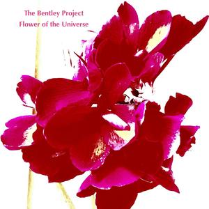 Flower of the Universe