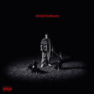 Dobermann (Explicit)