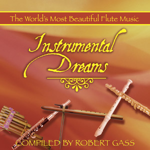 Instrumental Dreams