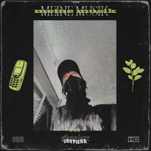 MEINE MUSIK