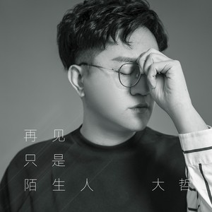 再见只是陌生人