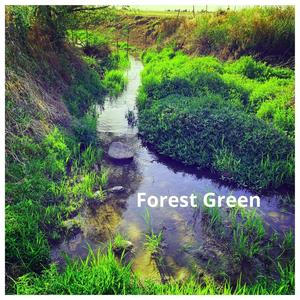 Forest Green