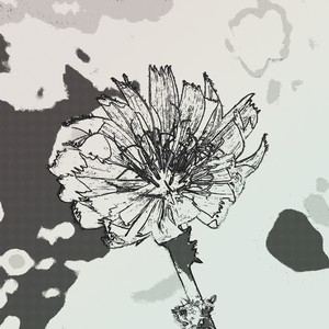 Keep Me In Your Sight