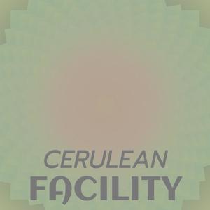 Cerulean Facility