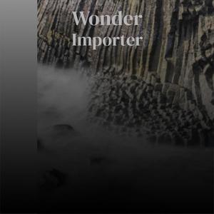 Wonder Importer