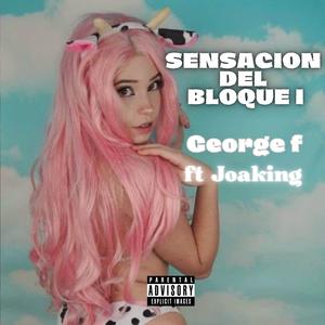 Sensacion del Bloque I (feat. Joaking) (Explicit)