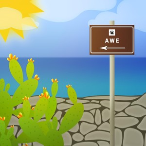 Awe(feat. Zio Pino & Frank Ame)