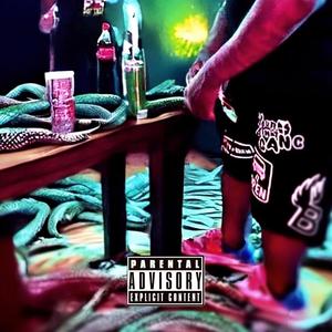 Snakes N Da Grass (feat. Nino Cahootz) [Explicit]