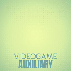 Videogame Auxiliary