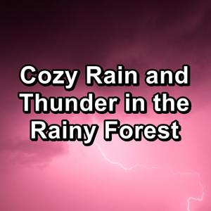 Cozy Rain and Thunder in the Rainy Forest